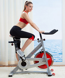 Sunny Health & Fitness Pro Indoor Cycling Bike Reviews